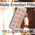 Male Erection Pills 26